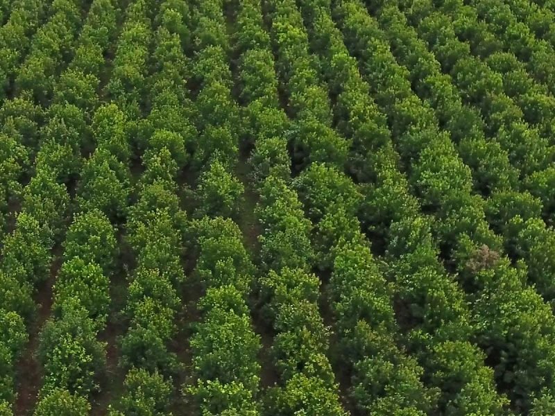 348600107_951623185884554_804489661575218006_n